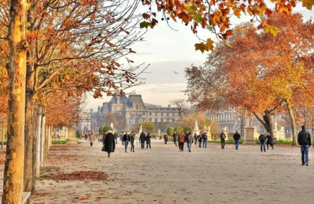 Passeio pelo Jardim das Tulherias no outono, entre árvores douradas e a arquitetura monumental do Louvre.