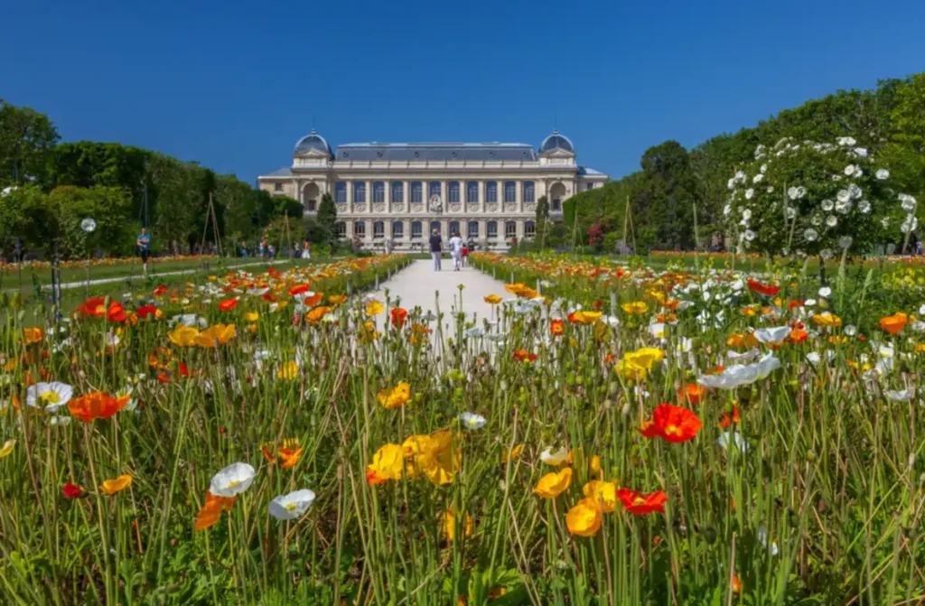 Flores da primavera no Jardin des Plantes, um dos jardins botânicos mais bonitos e tradicionais de Paris.