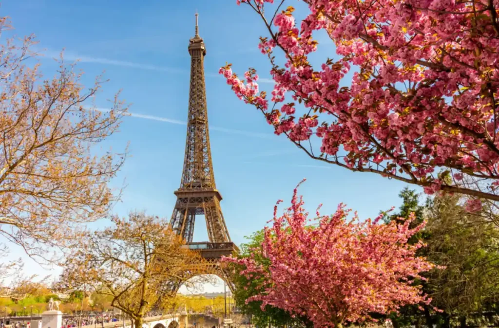 Cerejeiras floridas emolduram a Torre Eiffel durante a primavera, uma das épocas mais bonitas para visitar Paris.