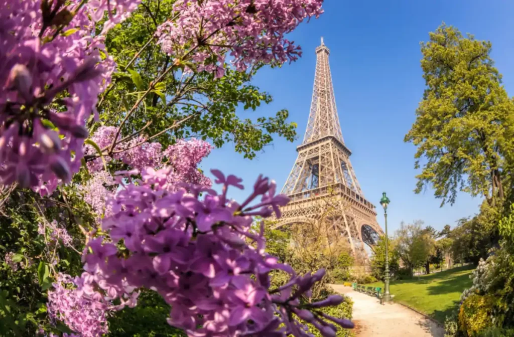 Torre Eiffel emoldurada por flores lilases na primavera, quando os jardins de Paris ganham novas cores.
